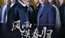 电视剧风雨送春归,时代变迁下的青春奋斗史