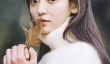 白色电视剧,一段尘封的家族传奇