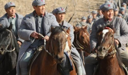 红军电视剧,浴血奋战，铸就辉煌