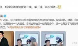 吃瓜爆料博主内娱小说,揭秘娱乐圈背后的秘密与风云
