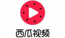 吃瓜爆料视频素材网,视频素材网的秘密世界