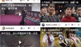 吃瓜事件爆料合集视频下载,揭秘网络热点背后的真相