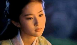 电视剧女,梦想绽放的青春岁月