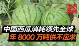 广州吃瓜爆料是真的吗,真相揭秘还是无稽之谈？