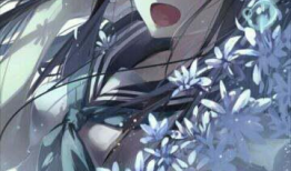 什么是动漫,探索虚拟与现实交织的奇幻旅程